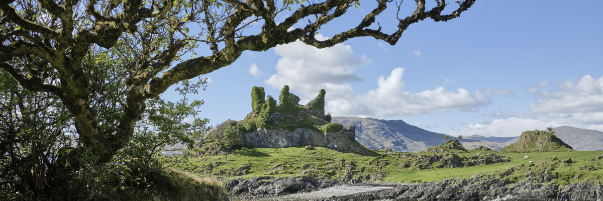 Castle Coeffin